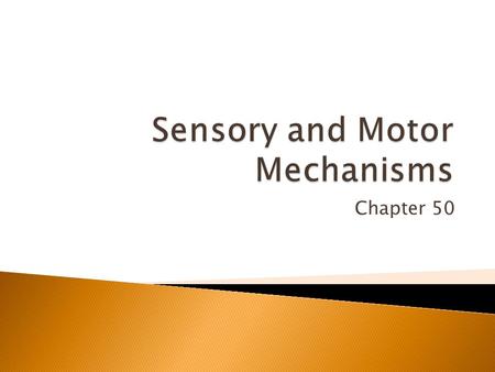 Chapter 50.  What are the general functions of receptors?  Reception  Transduction  Amplification  Transmission  Integration.