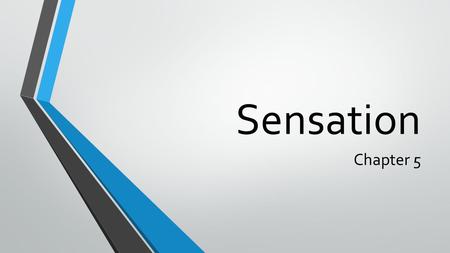 Sensation Chapter 5. 6 major senses Vision = wavelengths, visible spectrum, focus, dimensions, color Hearing = sound waves, amplitude, loudness, pitch,