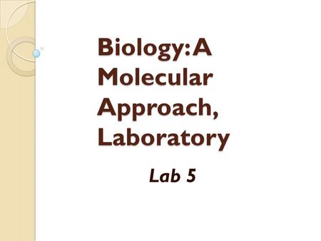 Biology: A Molecular Approach, Laboratory Lab 5. Business Attendance Handouts.