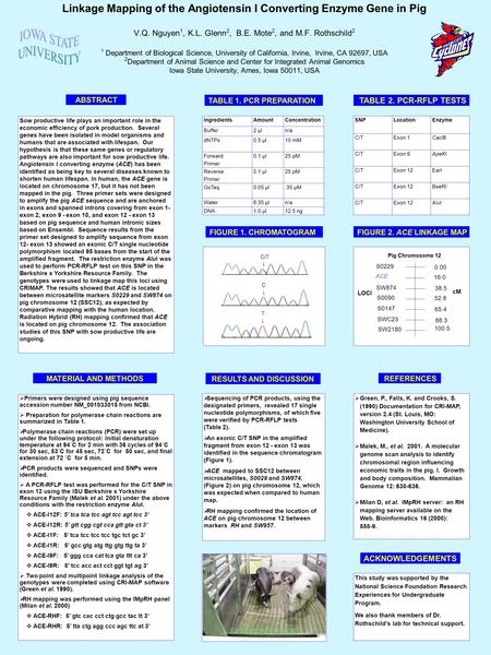 Linkage Mapping of the Angiotensin I Converting Enzyme Gene in Pig V.Q. Nguyen 1, K.L. Glenn 2, B.E. Mote 2, and M.F. Rothschild 2 1 Department of Biological.