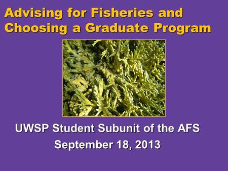 Advising for Fisheries and Choosing a Graduate Program UWSP Student Subunit of the AFS September 18, 2013.