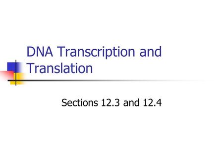 DNA Transcription and Translation