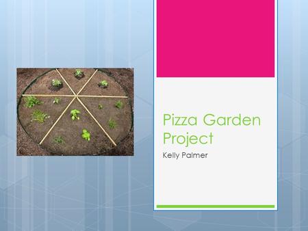 Pizza Garden Project Kelly Palmer. What is a pizza garden?  A large circular garden  Sectioned off to hold different plants  The plants are ingredients.