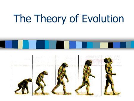 The Theory of Evolution