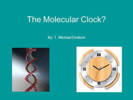 The Molecular Clock? By: T. Michael Dodson. Hypothesis For any given macromolecule (a protein or DNA sequence) the rate of evolution is approximately.