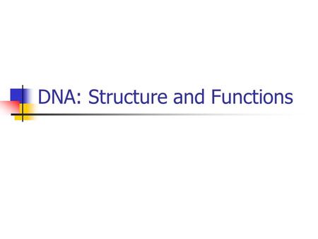 DNA: Structure and Functions. Genetic Material What we know: Genes are on chromosomes But what are genes made of? Genetic material must be: able to store.