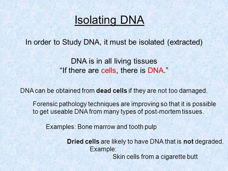 In order to Study DNA, it must be isolated (extracted) DNA is in all living tissues “If there are cells, there is DNA.” Isolating DNA DNA can be obtained.