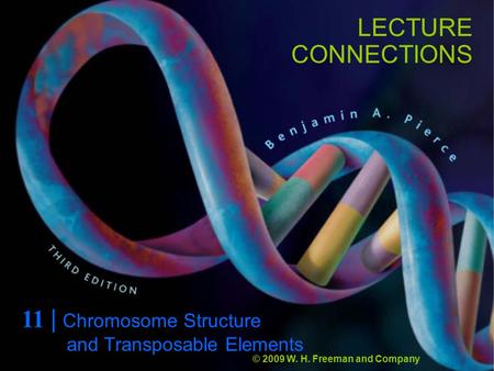 LECTURE CONNECTIONS 11 | Chromosome Structure © 2009 W. H. Freeman and Company and Transposable Elements.