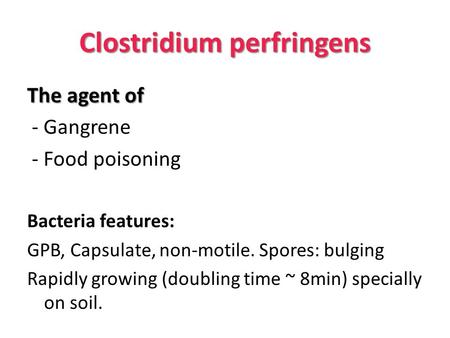 Clostridium perfringens The agent of - Gangrene - Food poisoning Bacteria features: GPB, Capsulate, non-motile. Spores: bulging Rapidly growing (doubling.