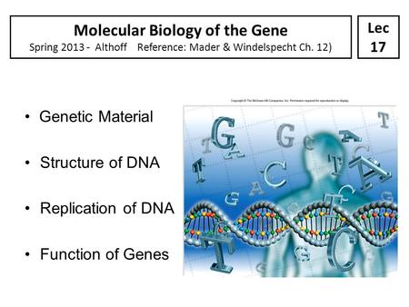 Genetic Material Structure of DNA Replication of DNA Function of Genes Molecular Biology of the Gene Spring 2013 - Althoff Reference: Mader & Windelspecht.