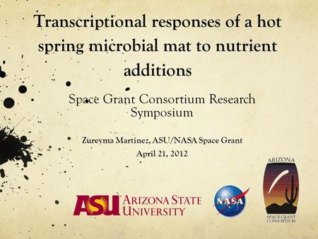 Transcriptional responses of a hot spring microbial mat to nutrient additions Space Grant Consortium Research Symposium Zureyma Martinez, ASU/NASA Space.