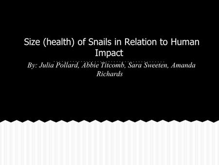 Size (health) of Snails in Relation to Human Impact By: Julia Pollard, Abbie Titcomb, Sara Sweeten, Amanda Richards.