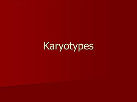 Karyotypes.