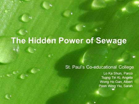 The Hidden Power of Sewage St. Paul’s Co-educational College Lo Ka Shun, Parco Tsang Tin Ki, Angela Wong Ho Gan, Albert Poon Wing Yiu, Sarah.