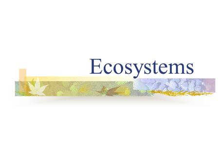 Ecosystems. Composition of an Ecosystem An ecosystem (short for ecological system) is an ecological community together with its environment, functioning.