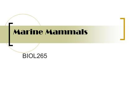 Marine Mammals BIOL265. Orders of Marine Mammals The class mammalia has four orders that are considered marine related according to some sources..  Cetacea.