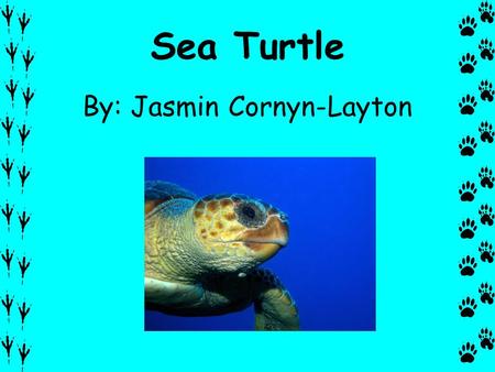 Sea Turtle By: Jasmin Cornyn-Layton. Description A sea turtle is a reptile. It has black flippers with claws. They have strong jaws. The top of the shell.