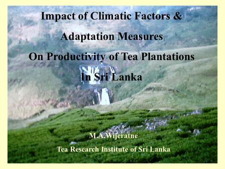 Impact of Climatic Factors & Adaptation Measures On Productivity of Tea Plantations In Sri Lanka M.A.Wijeratne Tea Research Institute of Sri Lanka.