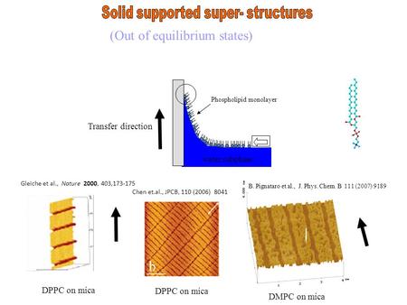 DMPC on mica Phospholipid monolayer water subphase Gleiche et al., Nature 2000, 403,173-175 DPPC on mica Transfer direction Chen et.al., JPCB, 110 (2006)