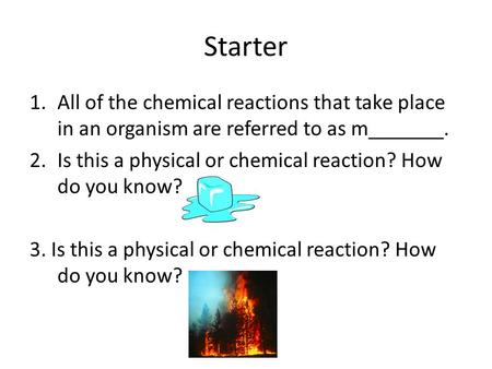 Starter 1.All of the chemical reactions that take place in an organism are referred to as m_______. 2.Is this a physical or chemical reaction? How do you.