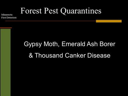 Minnesota First Detectors Forest Pest Quarantines Gypsy Moth, Emerald Ash Borer & Thousand Canker Disease.