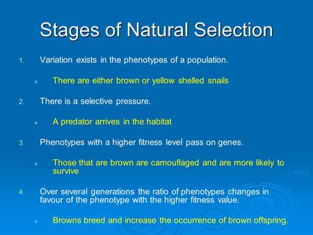 Stages of Natural Selection