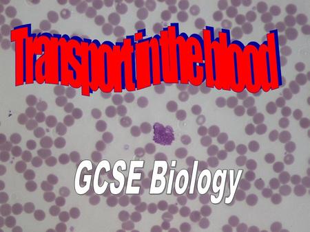 Objectives: * State the main constituents of blood **Identify red and white blood cells in diagram and under the microscope ***Describe the role of RBC.