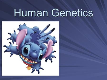 Human Genetics. Karyotyping: technique for examining the chromosome make up of an organism shows chromosomes arranged by size: – homologous pairs a.