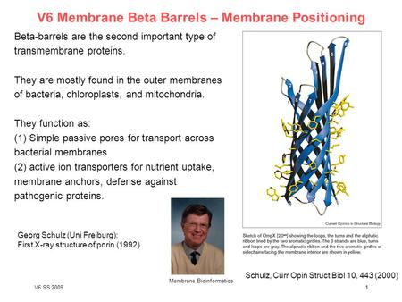 V6 SS 2009 Membrane Bioinformatics 1 V6 Membrane Beta Barrels – Membrane Positioning Beta-barrels are the second important type of transmembrane proteins.