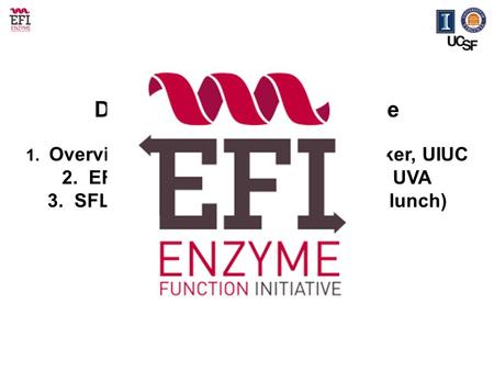 Data and Dissemination Core 1. Overview and EFI Website – Heidi Imker, UIUC 2. EFI LabDB LIMS – Wladek Minor, UVA 3. SFLD – Patsy Babbitt, UCSF (post lunch)