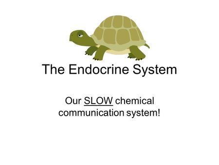 Our SLOW chemical communication system!