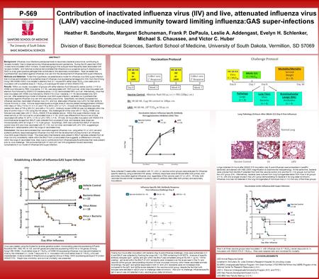 ACKNOWLEDGMENTS USD Animal Resource Center Jonathan A. McCullers (St. Jude Children’s Research Hospital) for providing viruses SD-BRIN Undergraduate Fellows.