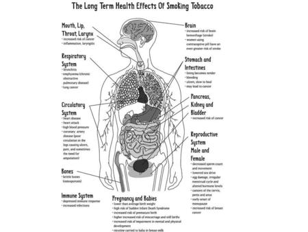 Lung Images Normal Lung Internal Comparison- Tar.