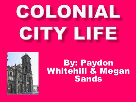 By: Paydon Whitehill & Megan Sands. Invented the first Hospital, fire house, electricity, and the first Public Library Nick name “Ben” Printed the first.