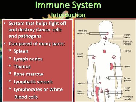 Immune System Introduction System that helps fight off and destroy Cancer cells and pathogens System that helps fight off and destroy Cancer cells and.