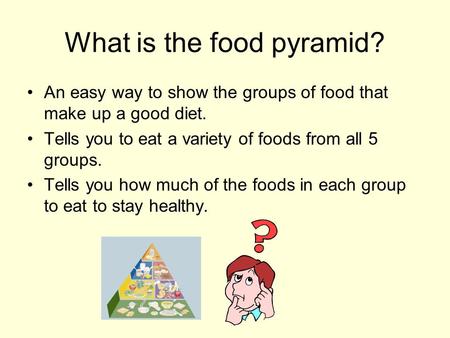 What is the food pyramid?