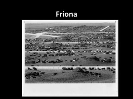 Friona. Central Problem Would consumers, when given the opportunity to buy a better product at a competitive price, remain loyal to a brand and ultimately.