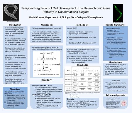 Temporal Regulation of Cell Development: The Heterochronic Gene Pathway in Caenorhabditis elegans David Cooper, Department of Biology, York College of.