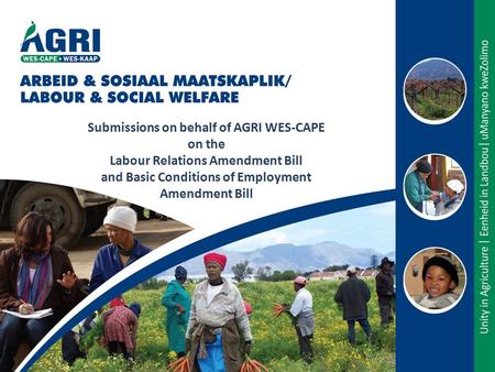 Submissions on behalf of AGRI WES-CAPE on the Labour Relations Amendment Bill and Basic Conditions of Employment Amendment Bill.