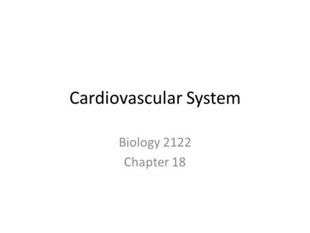 Cardiovascular System