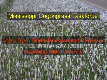 Mississippi Cogongrass Taskforce John Byrd, Extension/Research Professor Mississippi State University.