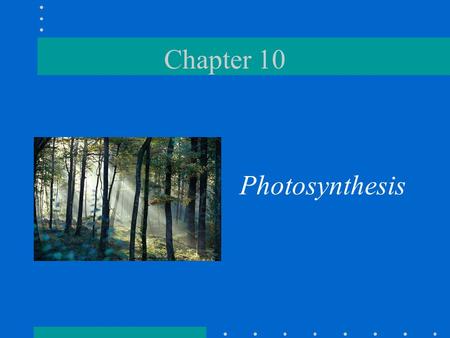 Chapter 10 Photosynthesis.