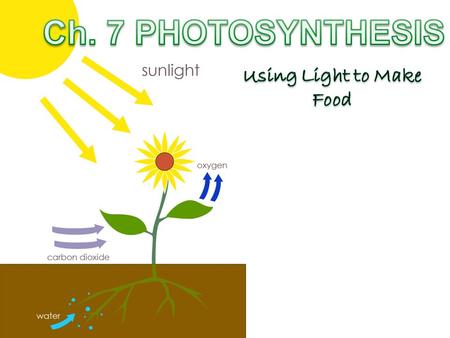 Autotrophs Are the Producers of The Biosphere  Autotrophs make their own food without using organic molecules derived from any other living thing –Photoautotrophs.