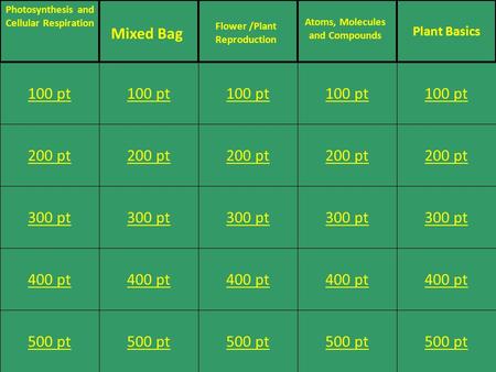 200 pt 300 pt 400 pt 500 pt 100 pt 200 pt 300 pt 400 pt 500 pt 100 pt 200 pt 300 pt 400 pt 500 pt 100 pt 200 pt 300 pt 400 pt 500 pt 100 pt 200 pt 300.