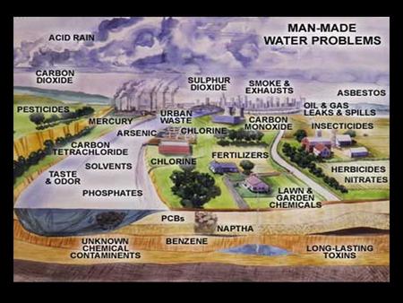 Agricultural Pollutants and Fertilizers A farm is a high contributor to water pollution…why??? Rain typically washes nutrients and fertilizers off of.