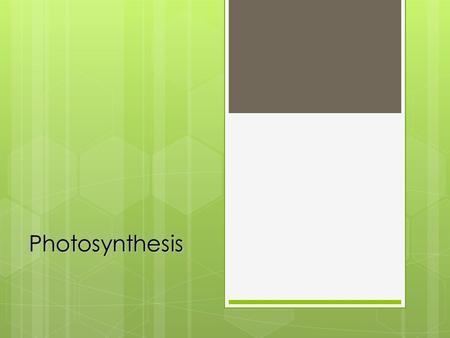 Photosynthesis.