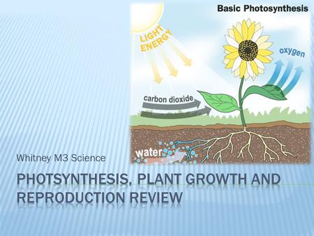 Whitney M3 Science.  What are the two materials a plant must take in to conduct photosynthesis?