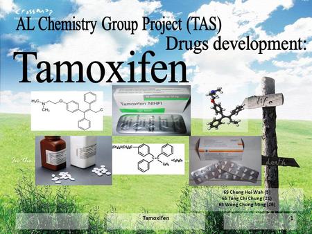 Tamoxifen1 6S Cheng Hoi Wah (5) 6S Tang Chi Chung (21) 6S Wong Chung Ming (26)