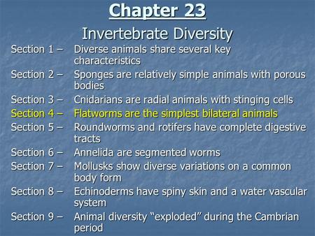 Chapter 23 Invertebrate Diversity