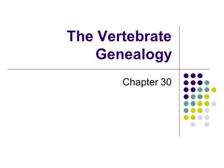 The Vertebrate Genealogy